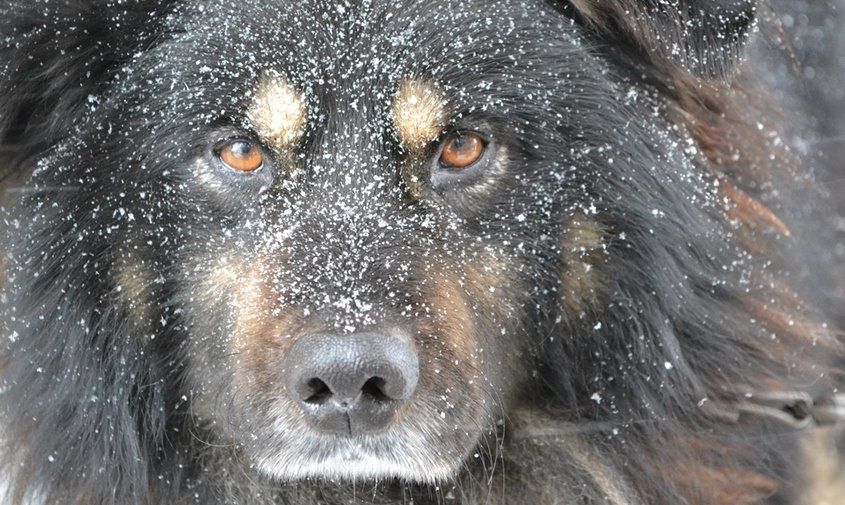 �������� ������ � �������� ������� �� 28 �������