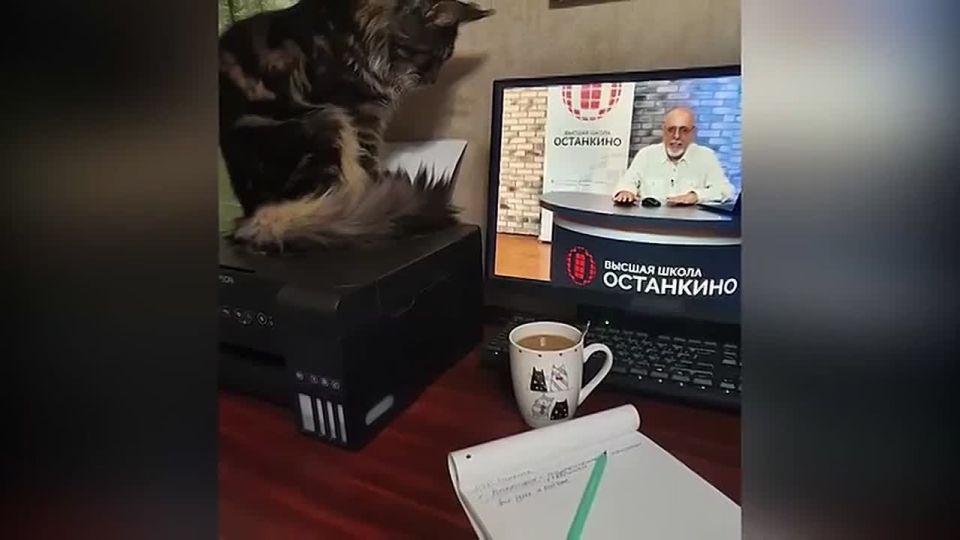 ���-���-���... ������� ����� �������������, ������� �� ��������� �������� ���� ����� ������ �������� ���������� � ���������� ��� ����������� ������� � ��� �����. ������� ���� ����������! ���� �������� �������, ������, �����...