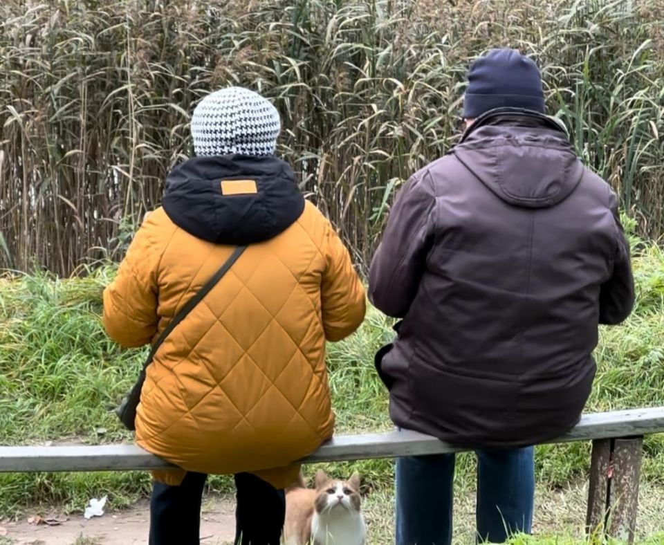 ����������� ���� ���������� ��������: ��� �������� ������