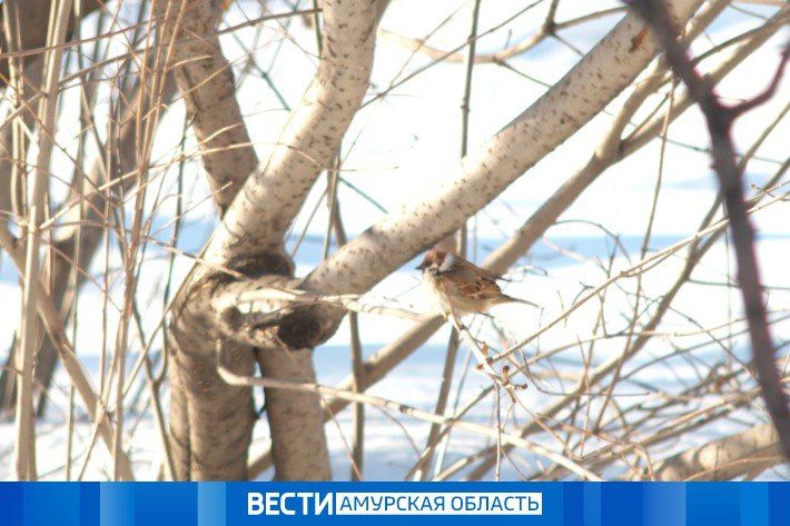 ����� �� -35 ��: ������� ������ � ��������� �� 28 �������