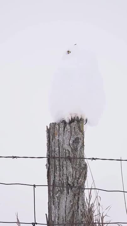 ������ ����!�. �������� ���� ����� � ��������, ����������� �������������, ������� �� ����������� ����� �������� ������ �������� ��������� � ���������� ������