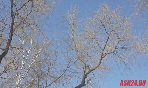 ������� ������ ��������� ������� ��1������