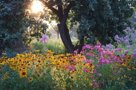 ������� ��������� ����� �� ���������� � ����� �������