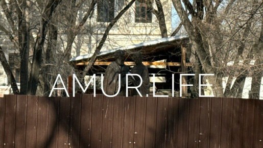 � �������� ������� ��� ��� 4 ���� ����� ������� �������� ������ ����� � ��������