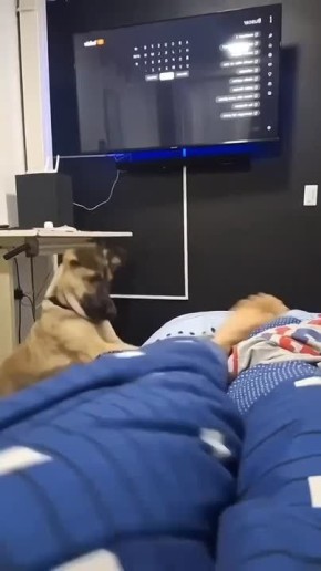 ������ ����!�. ������������! �������� ��������!�