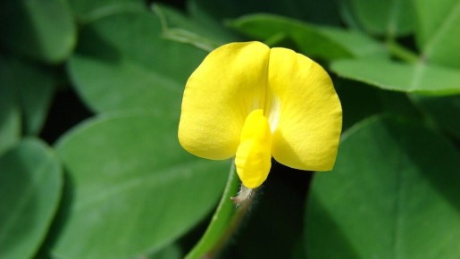 ��� ��������� �� �������� � �������� ��������