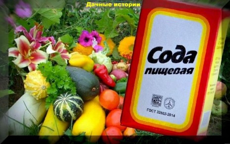 ���� � ����: ��� ��������� ������������ � ����� ���������� ��� ���