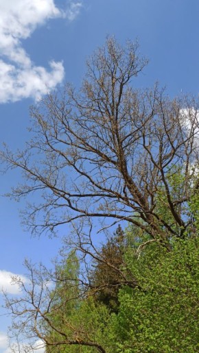 ��� ������� �������� ���������� �� ����������