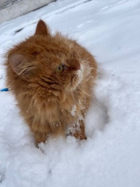 ���! ����� ������!. �������� ��� �� ��������� @ampravda