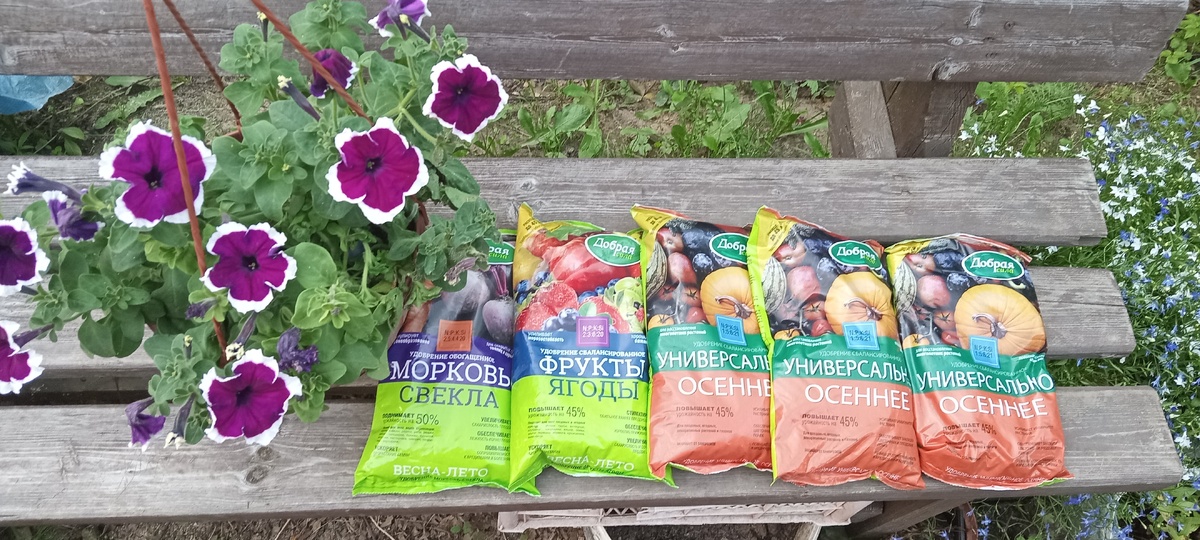 Как удобрения помогают добиться рекордных урожаев на огороде