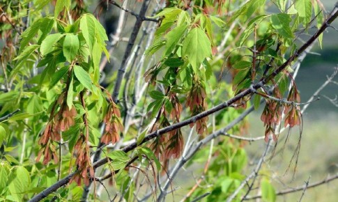 �� 1 ����� �� ������������ ���� �� ������� ��������� ����� ����������� �� ������� �����