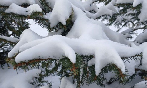 �������� ������ � �������� ������� �� 3 �����