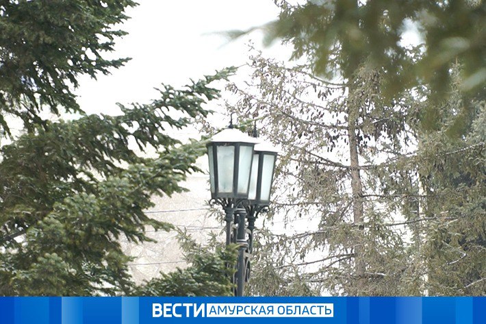 Осадки в отдельных районах Приамурья: прогноз погоды на 2 марта