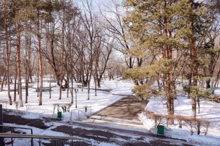 �������� ���������� ����� ��������� ������������ � ���������� � ����������������