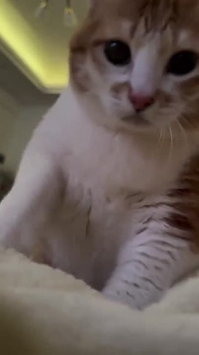 ������ ����!��