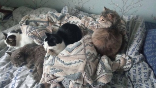 ����� ����� ���� ������ � ���������