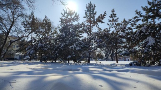 ���-�� �� ���������������� � ������ ������ ���������� ��� � ������������ ����� � ���� ���� ���� ������� � �������� � ����������� ���-�� �����