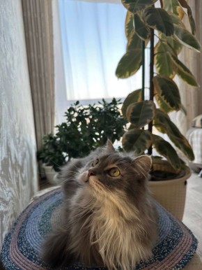 ��� �����, ��������, ���!�: ��������� ������ ��������� ������� ����������� ��� � 2026�