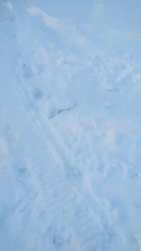 �������� ��������, ��� �������� ����� ����� ���������� �� ���� �����