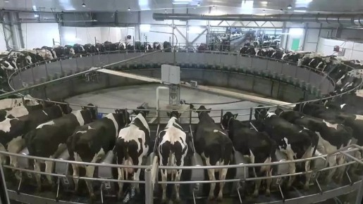 �����������, �������� ��������� ���������, ���������� ���� �������� � �������������� ����������, ������������� ������������� �������� ������, ��������������� ��������� ���