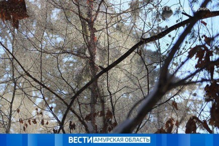 �� -23 �C �����: ������� ������ � ��������� 4 �����