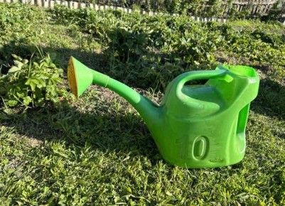 ������ ������: ��� ������� ������������ � ������ ���������