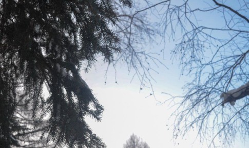 ��������� ���-�������� ������ �������� � ��������� ������ � ���������� �������� ����