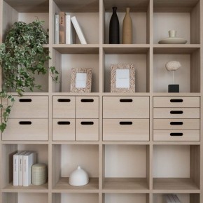 ������� ��� ������������: ���� ��� ������ ����