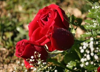 ������� ����� ���, ������� ����� �������� � ����� ����