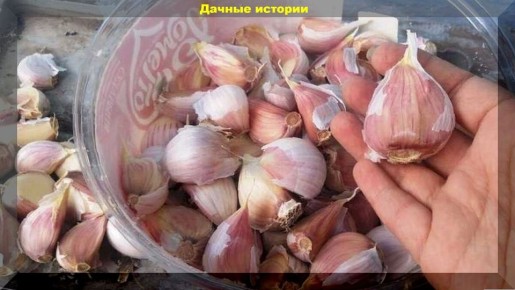 ��� �� ������� ������� �������: 20 �������� ������� ��� ���������