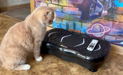 ������ � ���� ��� ��� ��������