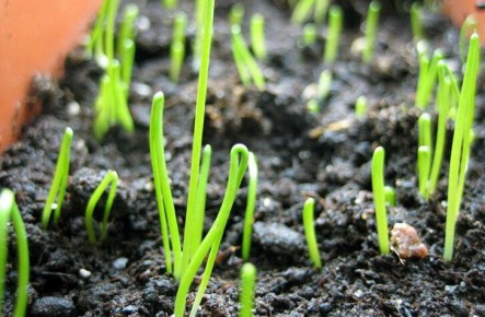 ��� ��������� ��� �� ����� � �������� �������� ������