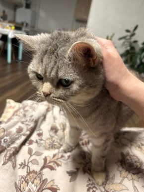 ������� ���� ���� �������!