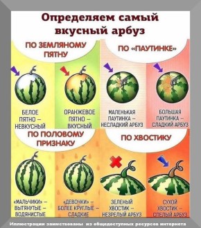 ��� ��������� ��������� ������: ������ ��� ��������� ������� ������