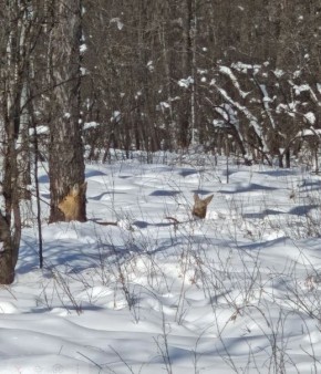 ���������� �� ������ ��������� ���� �������� ������� ���������� ������� ������