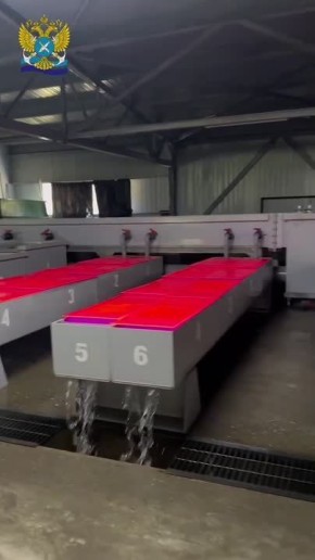 ������������ ������ ��������: ��������������� ������