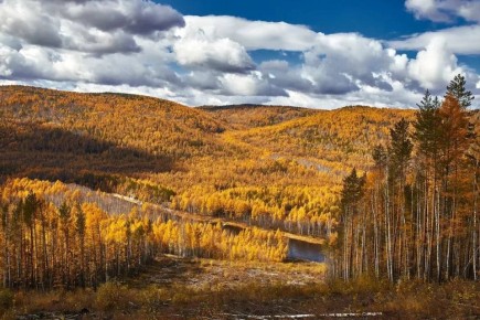 �������� ���� ���������� ������������ ��������� �������������� ����������