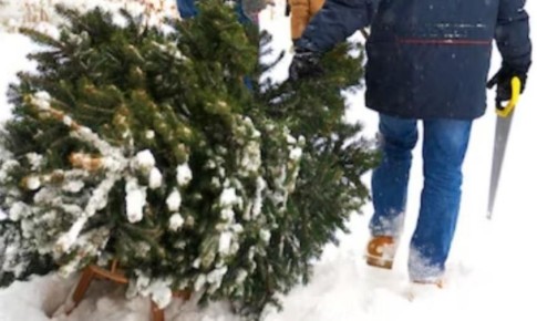 ���������� ����� ����� ����� ����� �������� �� ������� ����� � ��������� ������ 50 ��������