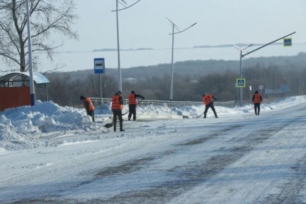 ������������ ������ ������ �� �����: �������� ����� 100 ������ ����������� � ������� �� �������� �������