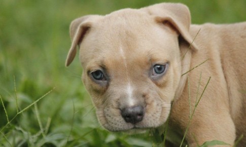 ������������� ������� ������� ������������� �������������� ���������� ������