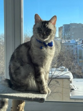 ���� � �����������. �������� ��� �� ��������� @ampravda