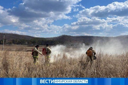 ��������� ������� ��������� � �������������� ������