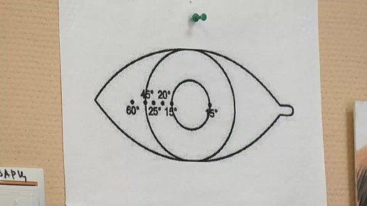 �������� ������, �������� ����� � ������� ��������� ��������, ����������� �����