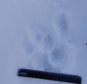 ����� ����� ������ ����� �������� �����