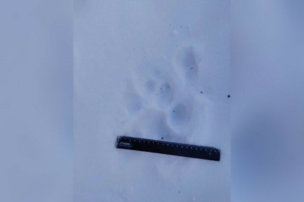 ���������� ��������� ����������� ��������� ��������� ������� ������� � ������ ����� � �������������� ������ � � ������ �����