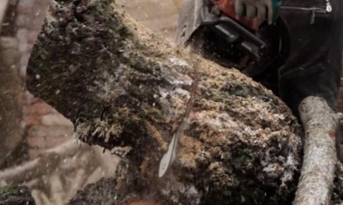 �� ����� �������� ���������� ��������� ������ 16 ����� ��� �������� ����