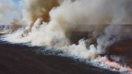 ��������� ������� ��������� ���������� �����