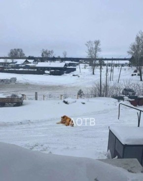 �������� �� ����� ���������� ����� �����