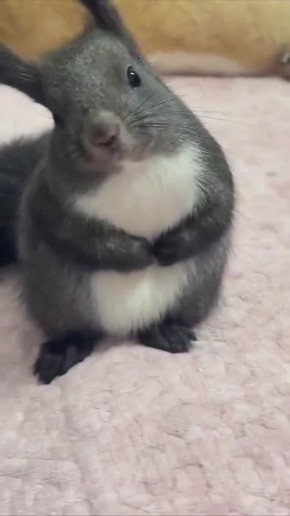 ������ ����!�. ������ ���� � ������� �������