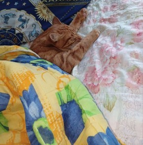 �������� � �������. �������� ��� �� ��������� @ampravda